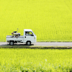 ２０１８年の福島県広野町の画像