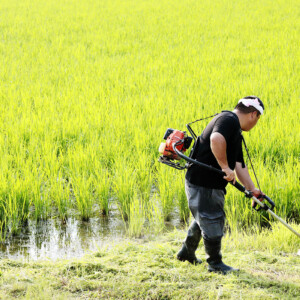 ２０１８年の福島県広野町の農作業の画像